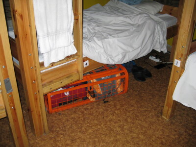 img 0235
