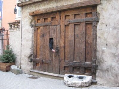 img 0242