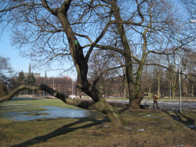 img 0256