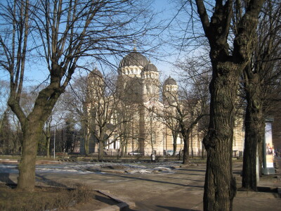 img 0257