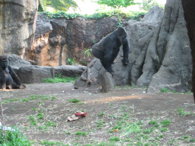 00102
