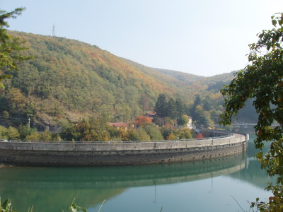 P1010036