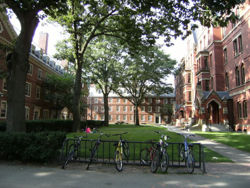 The Harvard Yard