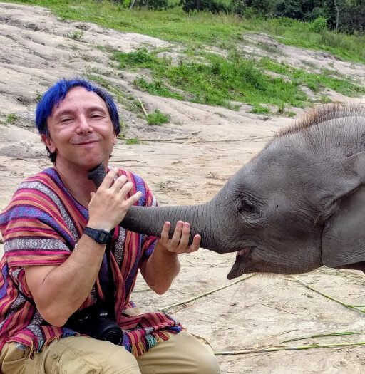 bernie-baby-elephant