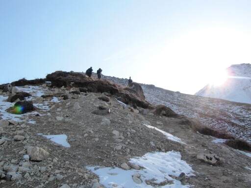 IMG 5794