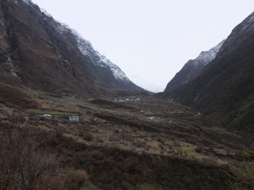 DSCF0113
