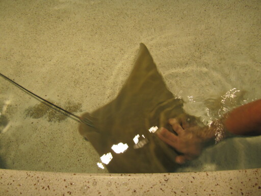 IMG 3543