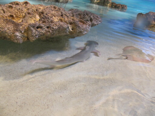 IMG 3551