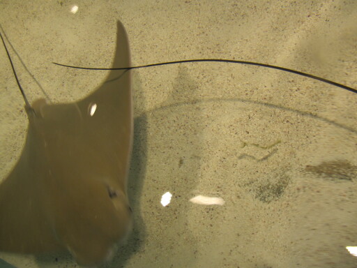 IMG 3555
