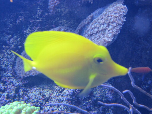 IMG 3557