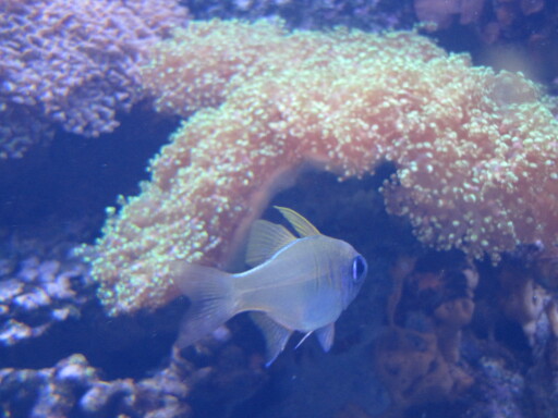 IMG 3559