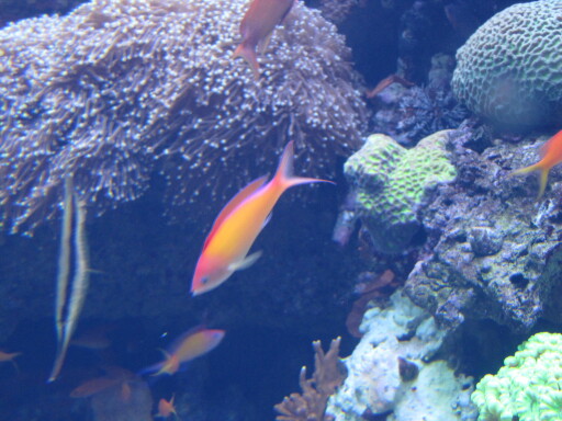 IMG 3562