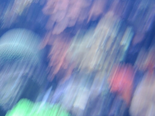 IMG 3563