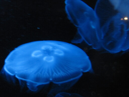 IMG 3572