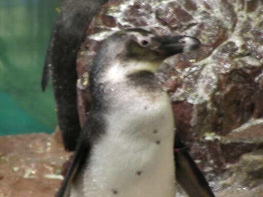 IMG 3585