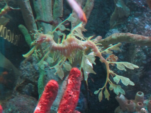 IMG 3591