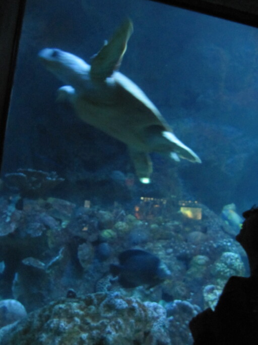 IMG 3596