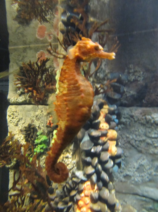 IMG 3603
