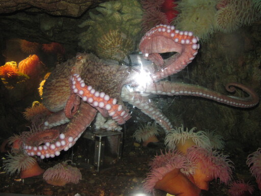 IMG 3615