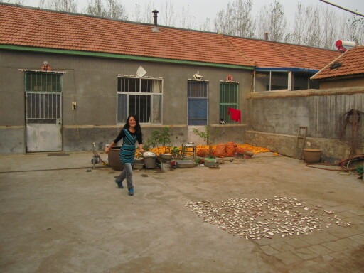 IMG 4681