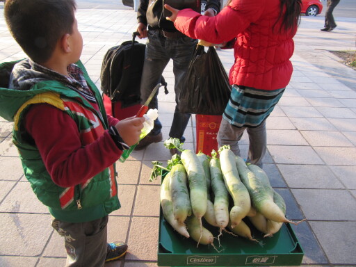 IMG 4834