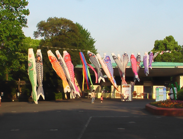 Traditional wind socks for the children's day