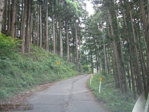 IMG 4062