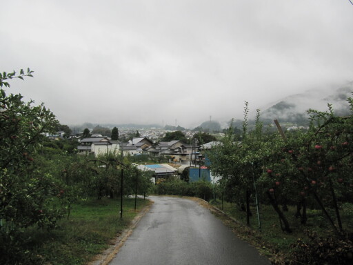 IMG 4267