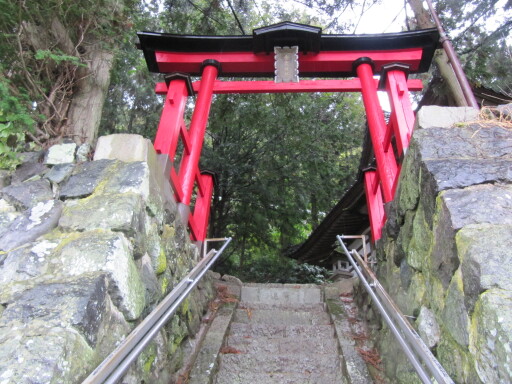 IMG 4273