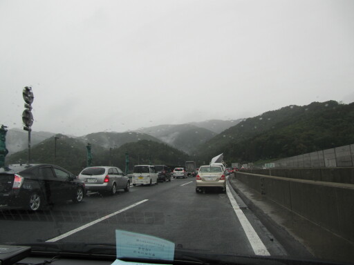 IMG 4278