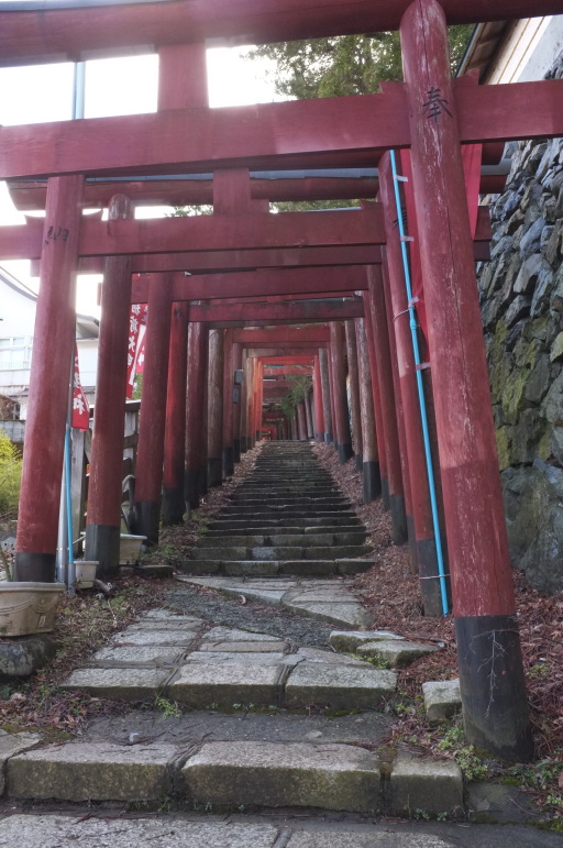 DSCF2589