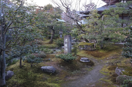 DSCF2481