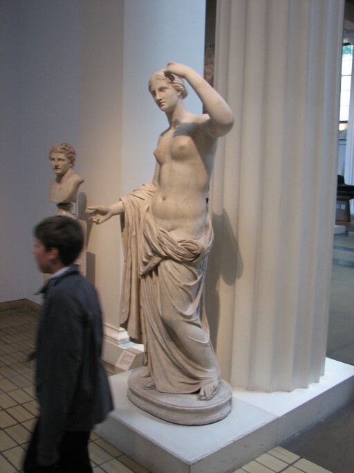 IMG 3628
