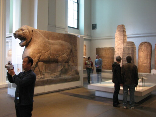 IMG 3641