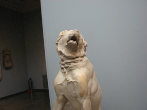 IMG 3645
