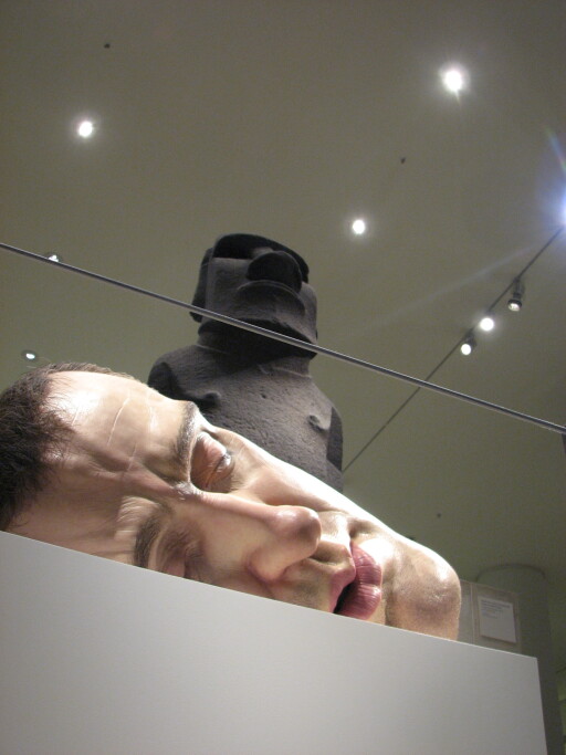 IMG 3667