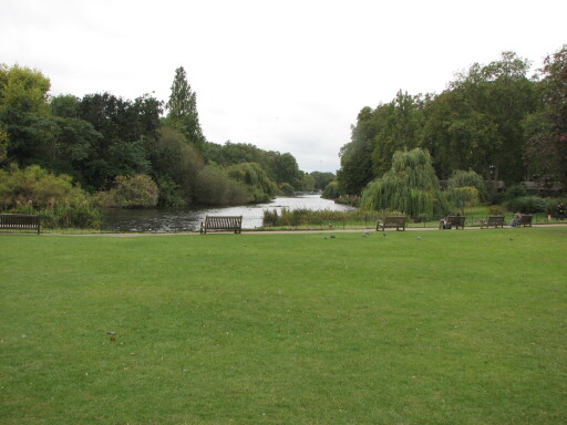 IMG 3685