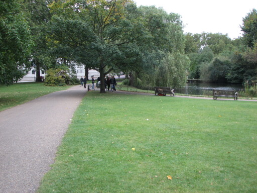 IMG 3686
