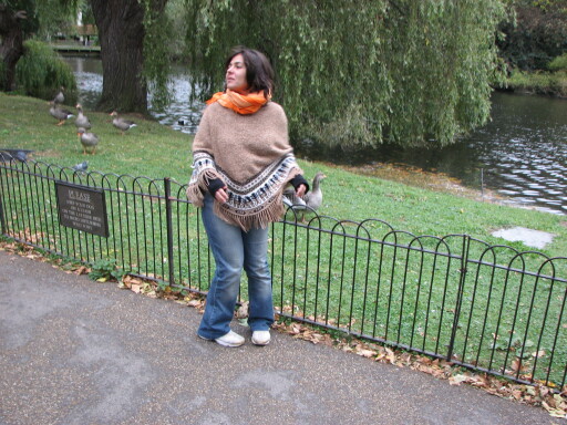 IMG 3690