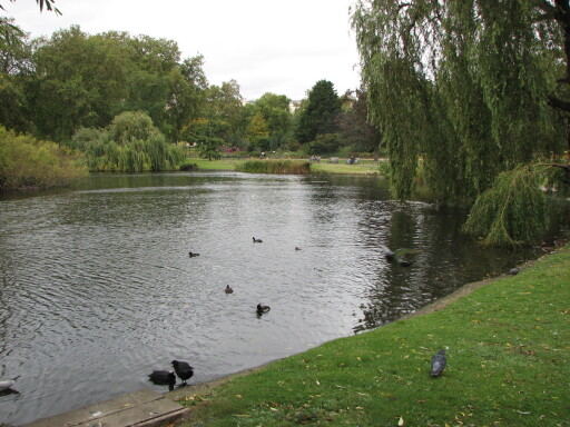 IMG 3700