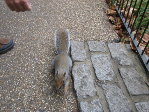 IMG 3703