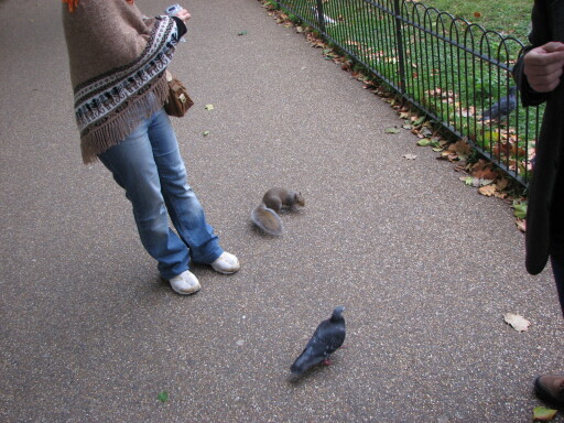 IMG 3709