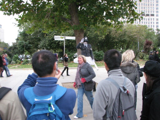 IMG 3731