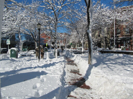 davis-square-1