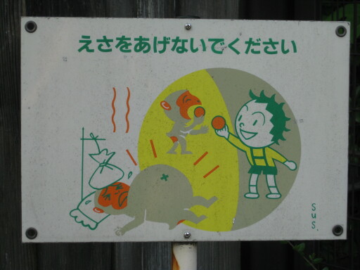 Ueno Zoo - Dont feed the monkeys